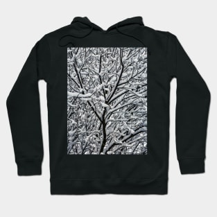 Snow Covered Winter Tree Branches Hoodie